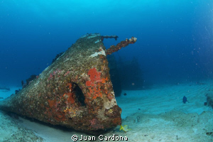 wreck dive C*58 ANAYA by Juan Cardona 